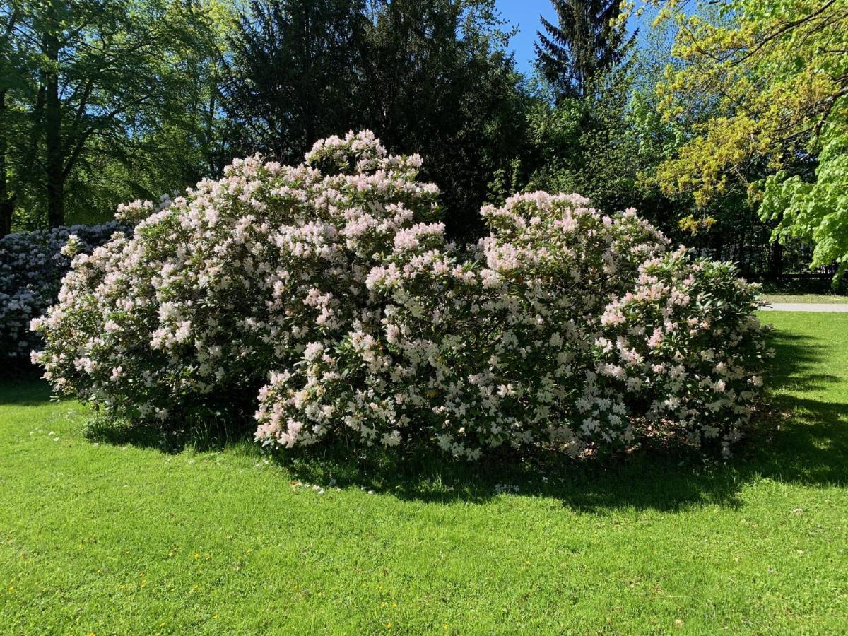 Schlosspark Grubhof - Mitterer Sankt Martin bei Lofer Luaran gambar