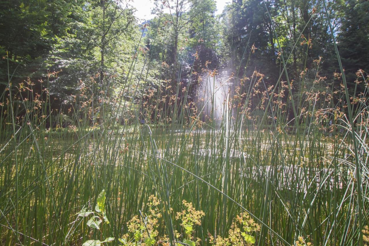 Schlosspark Grubhof - Mitterer Sankt Martin bei Lofer Luaran gambar
